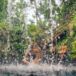 Dive Into Paradise: Cenote Tour - How the Experience Plays Out in Reality