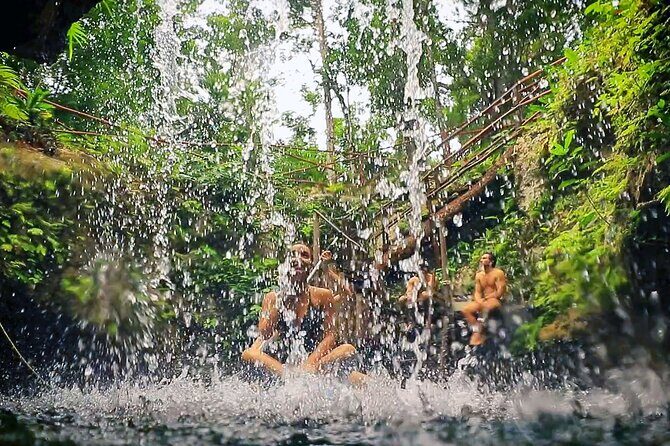 Dive Into Paradise: Cenote Tour - How the Experience Plays Out in Reality
