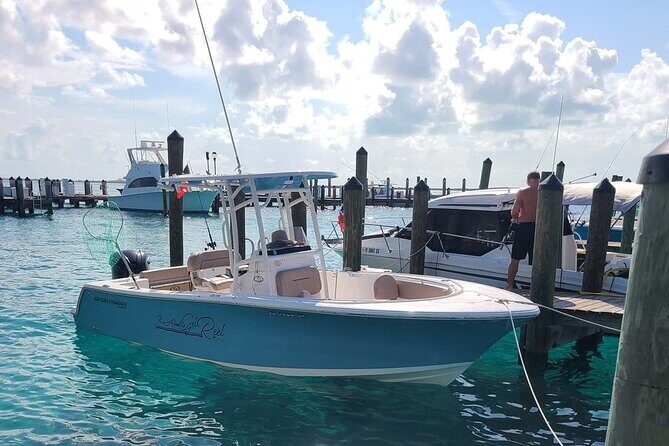 Dock Hop Cruise in Sarasota - Our Take on the Experience