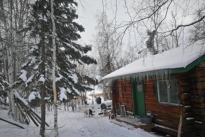 Dog Sledding - The Value of the Tour: Price and Experience