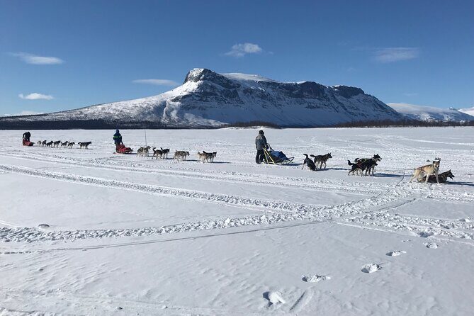 Dogsledding in the Heart of Alaska - What’s Loved and What to Watch Out For
