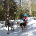 Dogsledding Nordic Adventure in Mont Tremblant - Final Thoughts