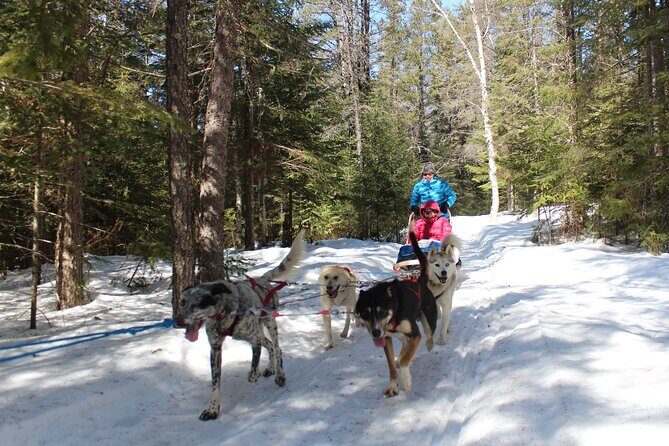 Dogsledding Nordic Adventure in Mont Tremblant - Final Thoughts