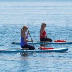 Dolphin and Manatee Stand Up Paddleboard Tour in Daytona Beach - The Experience: What You Can Expect During the Tour