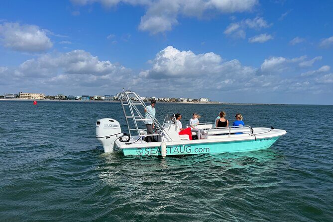 Dolphin and Nature Boat Excursion - Who Will Love This Tour?