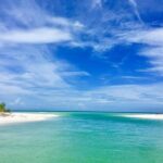 Dolphin and Shelling Cruise for up to 12 people - Is This Tour Right for You?