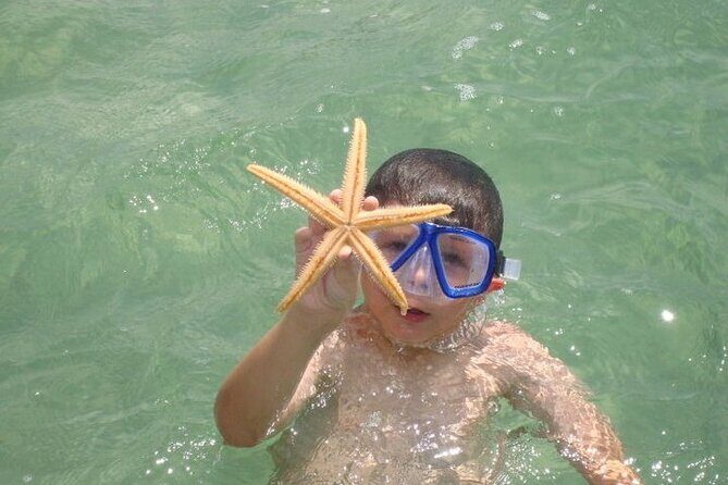 Dolphin and Snorkeling Activity in Panama City Florida - Practical Details and Tips