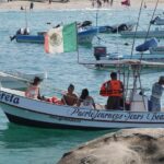 Dolphin and Whale Watching Boat Trip in Puerto Escondido - What Are the Downsides?