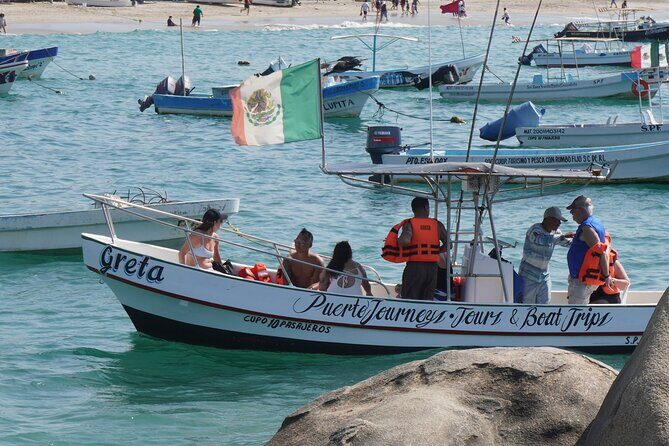 Dolphin and Whale Watching Boat Trip in Puerto Escondido - What Are the Downsides?