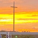 Dolphin and Wildlife History Tour - Why This Tour Works