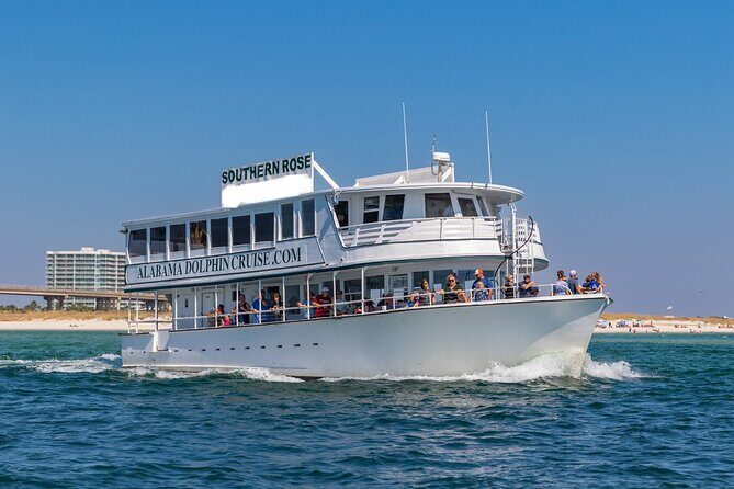 Dolphin Cruise in Orange Beach Alabama - What to Expect from the Dolphin Cruise Experience