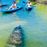 Dolphin, Manatee and Sea Turtle Kayak Adventure - What’s Included and What to Consider