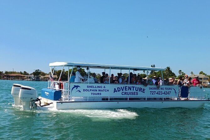 Dolphin /Shelling/Snorkeling tours Private Charters - How Does the Price Stand Up?