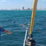 Dolphin Sightseeing Tour on The Footloose Catamaran from Panama City Beach - Who This Tour Is Best For