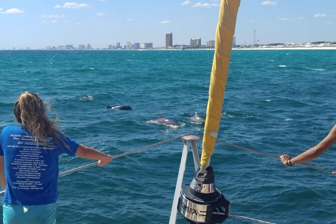 Dolphin Sightseeing Tour on The Footloose Catamaran from Panama City Beach - Who This Tour Is Best For
