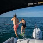 Dolphin & Snorkeling Key West - The Itinerary: What to Expect