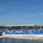 Dolphin Watch/Eco Cruise - The Experience: Pros and Cons