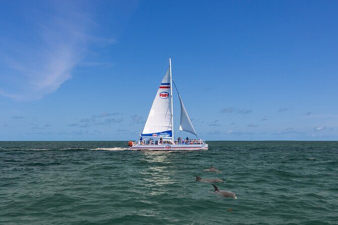 Dolphin Watch & Harbor Tour in Historical St. Augustine - Who Would Love This Tour?
