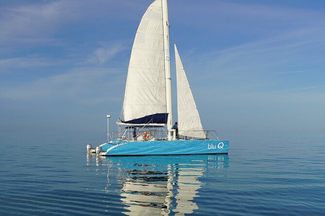 Dolphin Watch + Sunset Sail with Honest Eco - The Itinerary: What to Expect