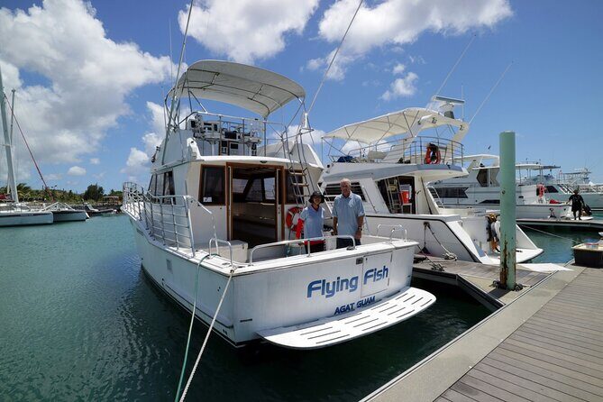 Dolphin Watching Cruise with Underwater Observatory Viewing - Who Will Love This Tour?