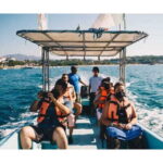 Dolphins and whales watching in Puerto Escondido. - The Experience in Detail