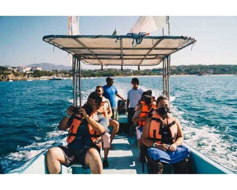 Dolphins and whales watching in Puerto Escondido. - The Experience in Detail