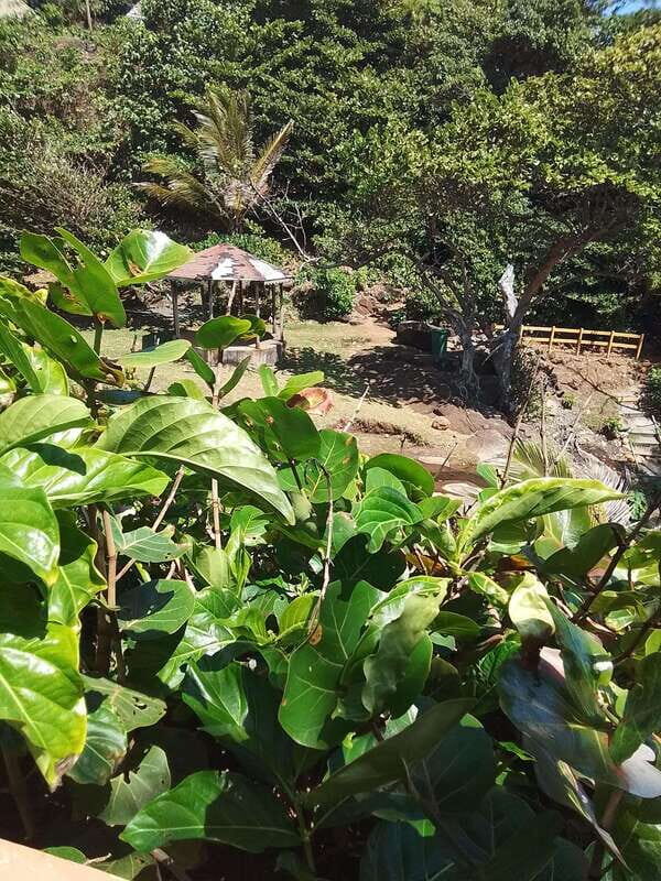 Dominica: Indian village, Hidden gems & British Battle Fort. - The Allure of Red Rock in Calibishie