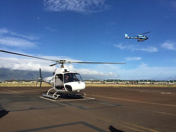 Doors Off West Maui and Molokai 45 minute Helicopter Tour - Who Would Love This Tour?