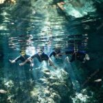 Dos Ojos Cenote VIP Private Tour  Snorkeling & Mayan Lunch - Why This Tour Delivers Real Value