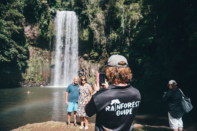 Double Pack-Ancient Rainforest and Waterfalls! - Who Will Love This Tour?