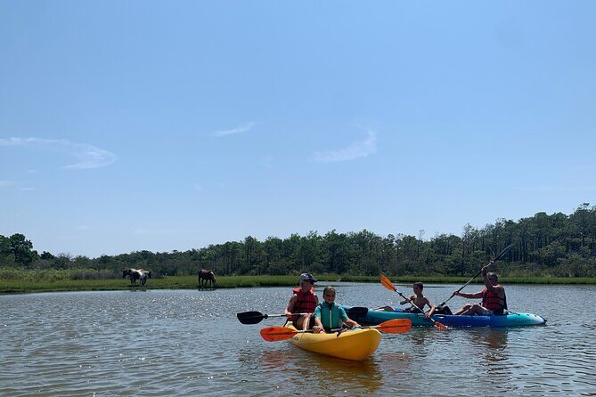 Double Sit on Top Kayak Rental at Assateague Island, MD - Who Should Consider This Experience?