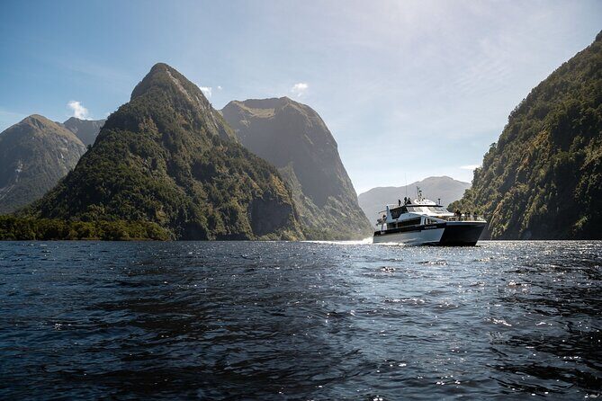 Doubtful Sound Wilderness Cruise from Queenstown - Practical Tips for Travelers