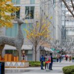 Downtown DC Holiday Tour: Lights, Decorations & Festive Cheer - The Experience: What’s Good and What to Consider