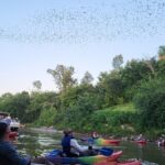 Downtown Houston Bat and Skyline Kayaking Tour - The Sum Up