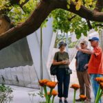 Downtown LA Arts Tour with MOCA & The Broad + Infinity Room - Final Thoughts: Why This Tour Works
