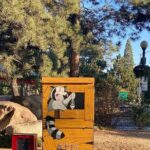 Downtown Reno Tour - The Value and Who It’s Perfect For