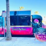 Drag Queen Hosted Mobile Theater Palm Springs Sightseeing Tours - Who Is This Tour Best For?