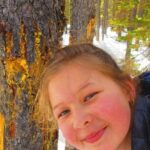 Driving Tour in Glacier National Park - What to Expect from the Experience