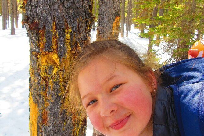 Driving Tour in Glacier National Park - What to Expect from the Experience