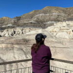 Drumheller Full-day Private Sightseeing Tour - The Real Experience: Pros and Cons