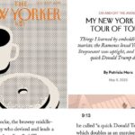 D'Trump New York City Walking Tour - Experience Quality and Group Size