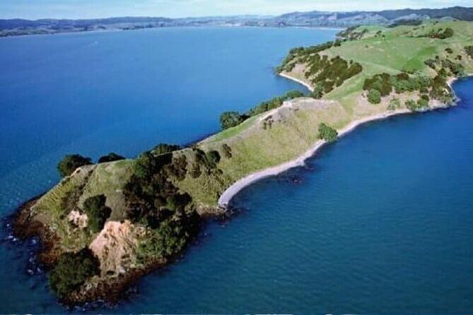 Duder Regional Park Half-Day Walking Tour - Value and Practicalities