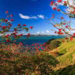 Duder Regional Park Walking Tours - Key Points