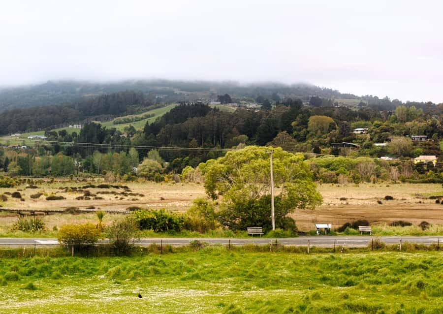 Dunedin Cruise Excursion: Express Coastline Rail Tour - Who Should Consider This Tour?