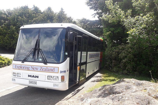 Dunedin Nature & City Tour  Full Day Cruise Excursion - Who is This Tour Best For?