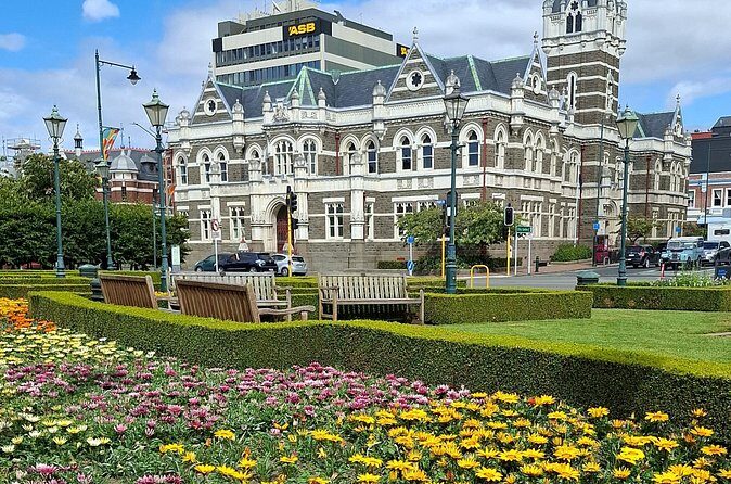 Dunedin Private Airport Transfers - What the Experience Looks Like