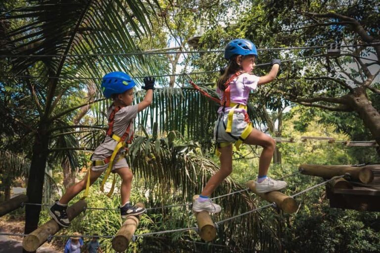 Dwellingup: Junior Tree Ropes Course - How does it work?