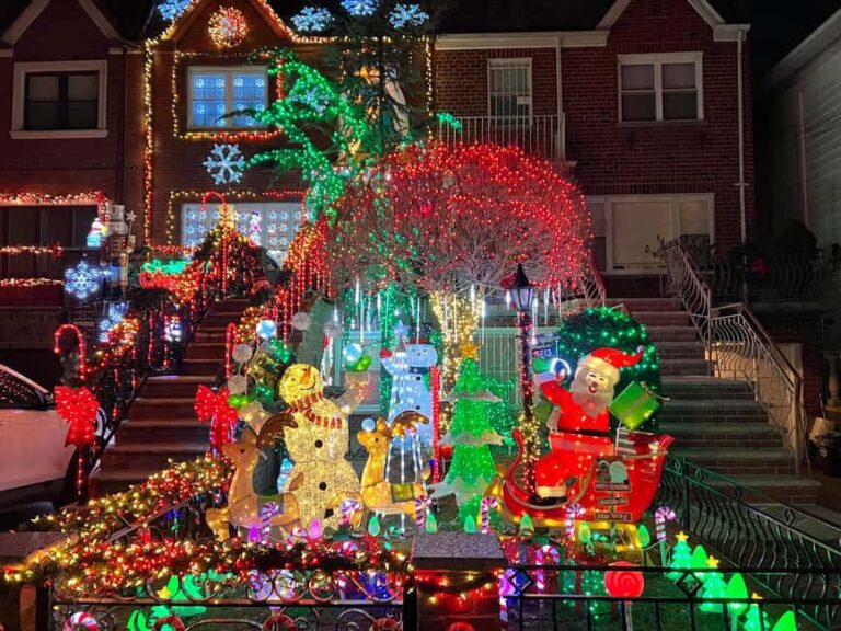 Dyker Heights Christmas Tour: Magic of Christmas in New York - Who is This Tour Best For?