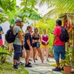 E-Bike Adventure in Cozumel - West Side Ride N' Snorkel - Frequently Asked Questions