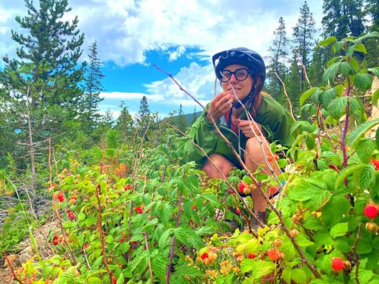 E-Bike & Brews: Denver's Platte River & Brewery E-Bike Tour - What Travelers Are Saying